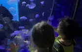 Sortie Aquarium 